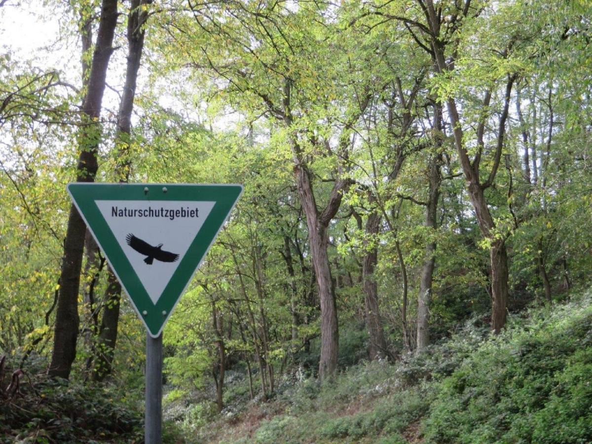 Ferienwohnung Familie Buchner Großheubach Kültér fotó