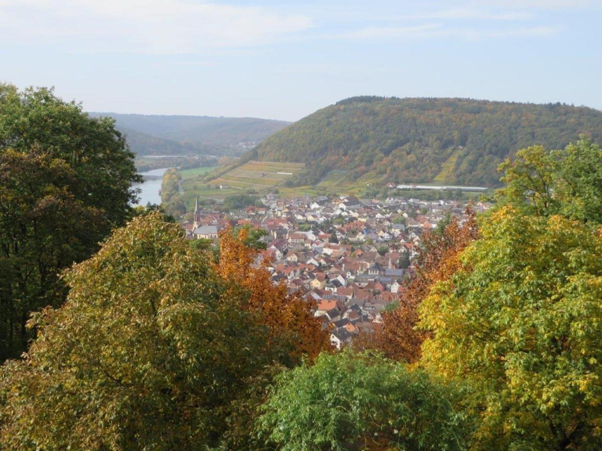 Ferienwohnung Familie Buchner Großheubach Kültér fotó